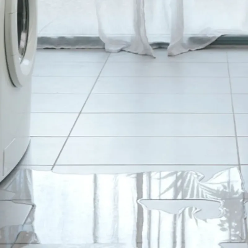 Appliance Leak Cleanup in Alden, NY