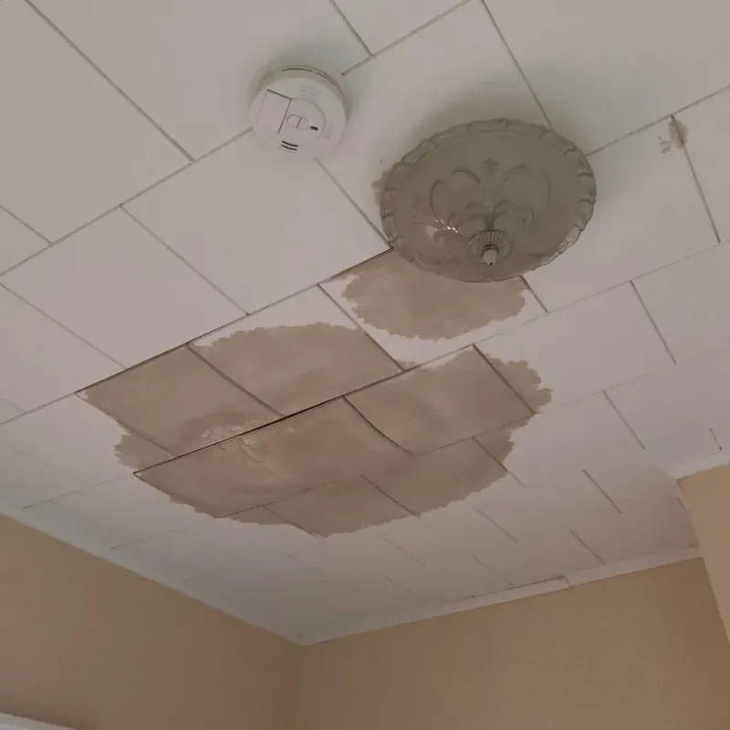 Ceiling Water Damage Repair in Alden, NY