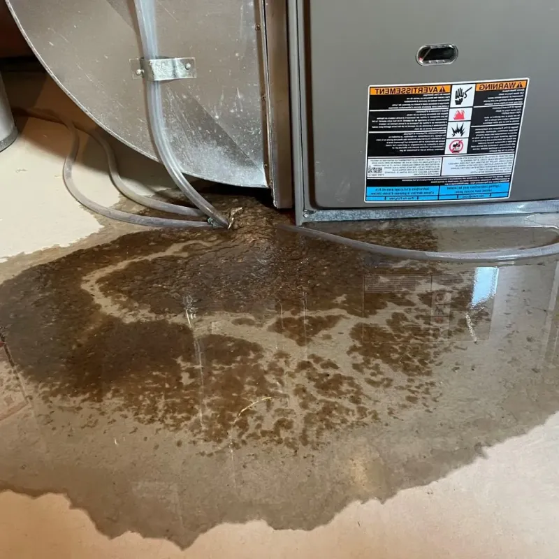 Pipe Burst and Leak Restoration in Alden, NY